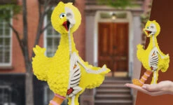 Big Bird (Sesame Street) XXRAY Plus By Jason Freeny 5 Big Bird (Sesame Street) XXRAY Plus By Jason Freeny -Doll Toy Store image 358