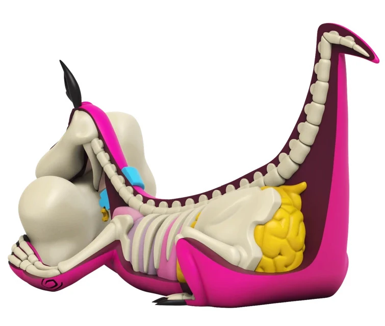 Dino XXRAY Plus By Jason Freeny 2 Dino XXRAY Plus By Jason Freeny - Image 2