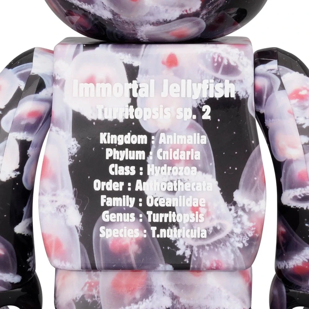 400% & 100% Bearbrick Set - Pink Immortal Jellyfish (Benikurage) 2 400% & 100% Bearbrick Set - Pink Immortal Jellyfish (Benikurage) - Image 2